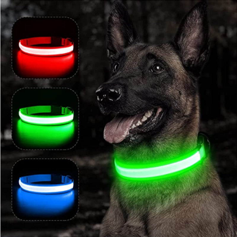 Coleira Led para cão e gatos