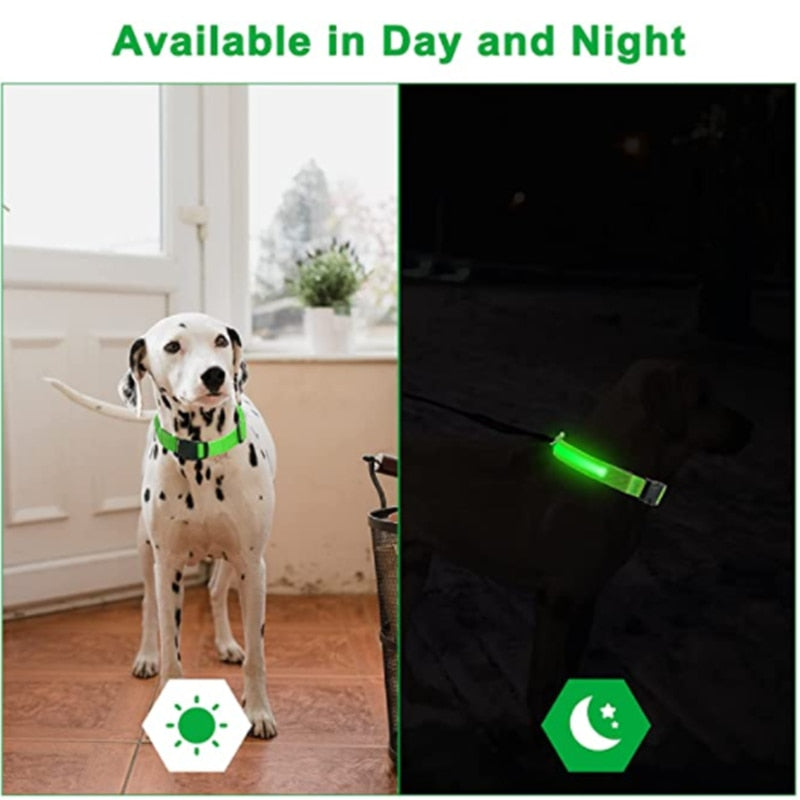 Coleira Led para cão e gatos