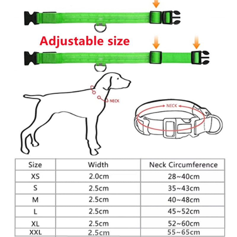 Coleira Led para cão e gatos